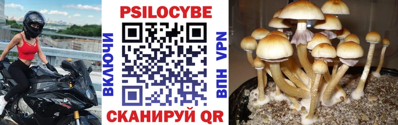 Галлюциногенные грибы мухоморы  Иркутск 